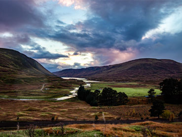 Landscapes