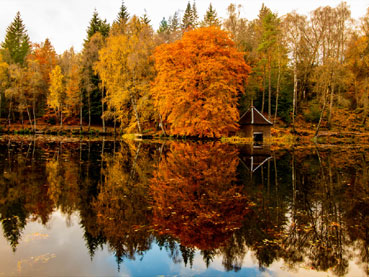 Autumn in the Highlands
