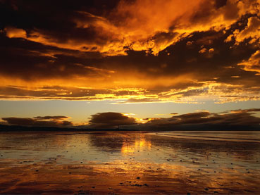 Sensational Seasons